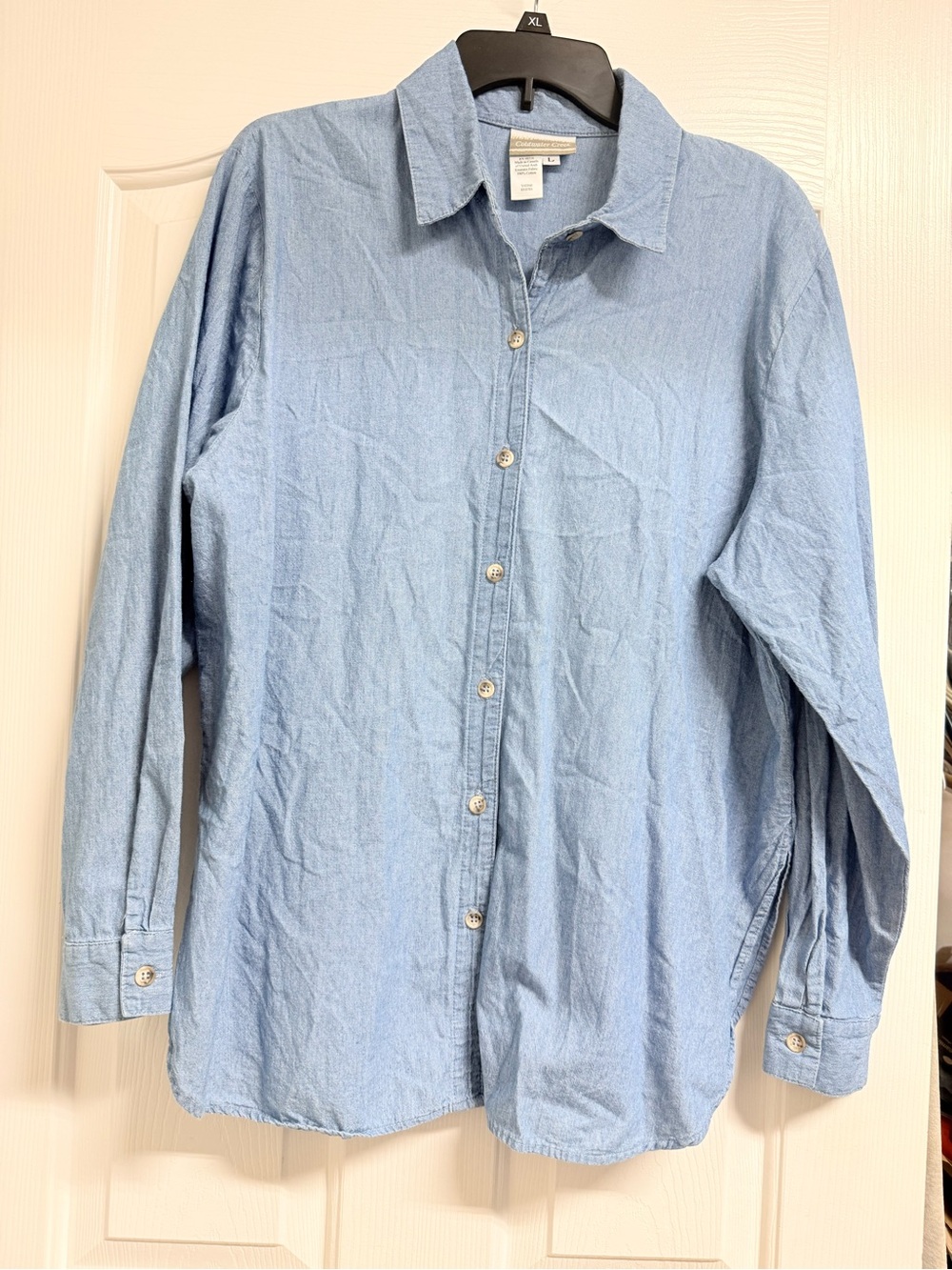 Coldwater Creek Women’s Light Blue Casual Button-Down Shirt
